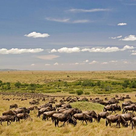 Mara Intrepids Tented Camp Talek Zewnętrze zdjęcie