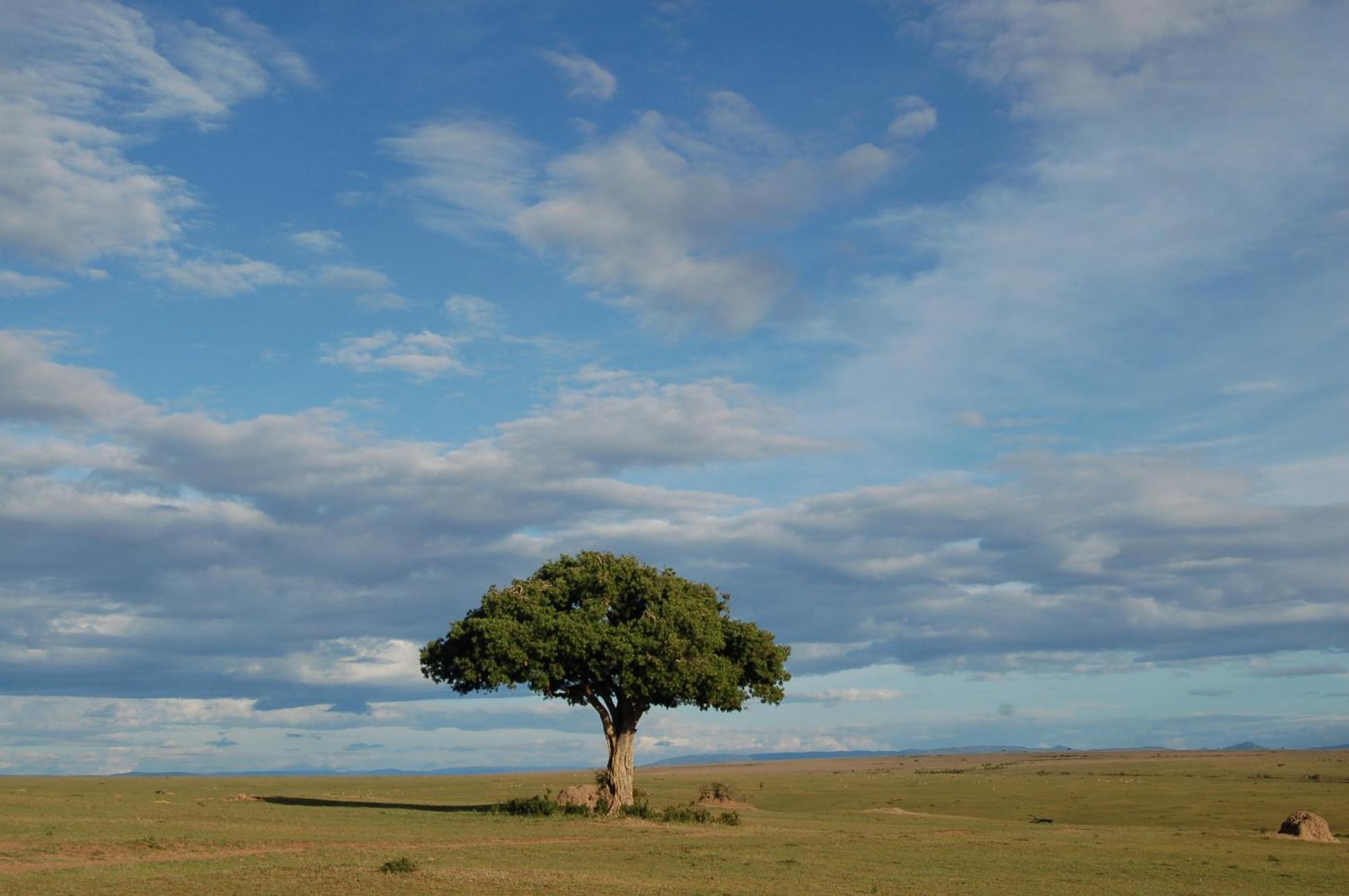 Mara Intrepids Tented Camp Talek Zewnętrze zdjęcie
